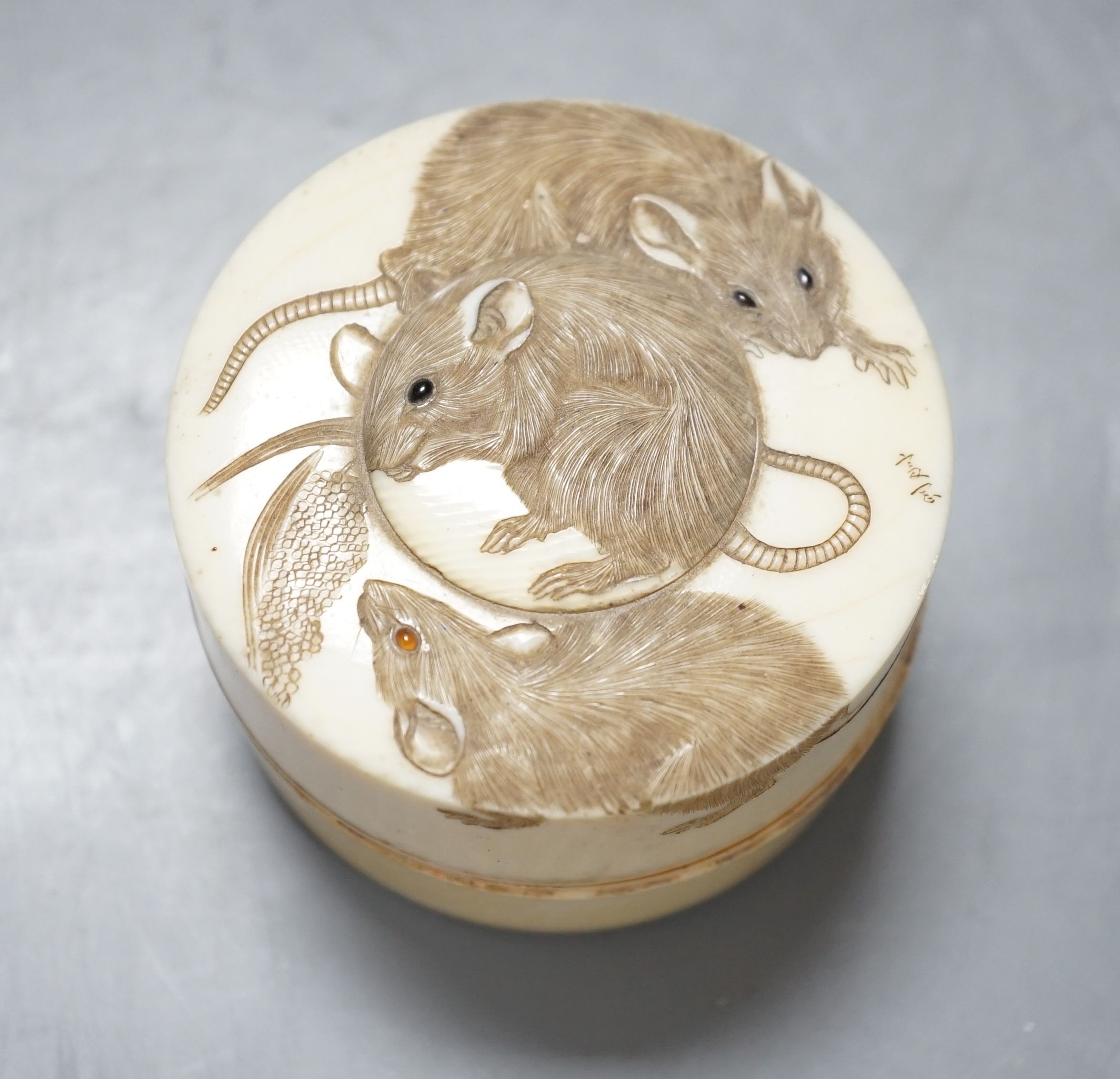 A Japanese Meiji period carved Ivory box and cover, decorated with three rats, signed, 6.5cm